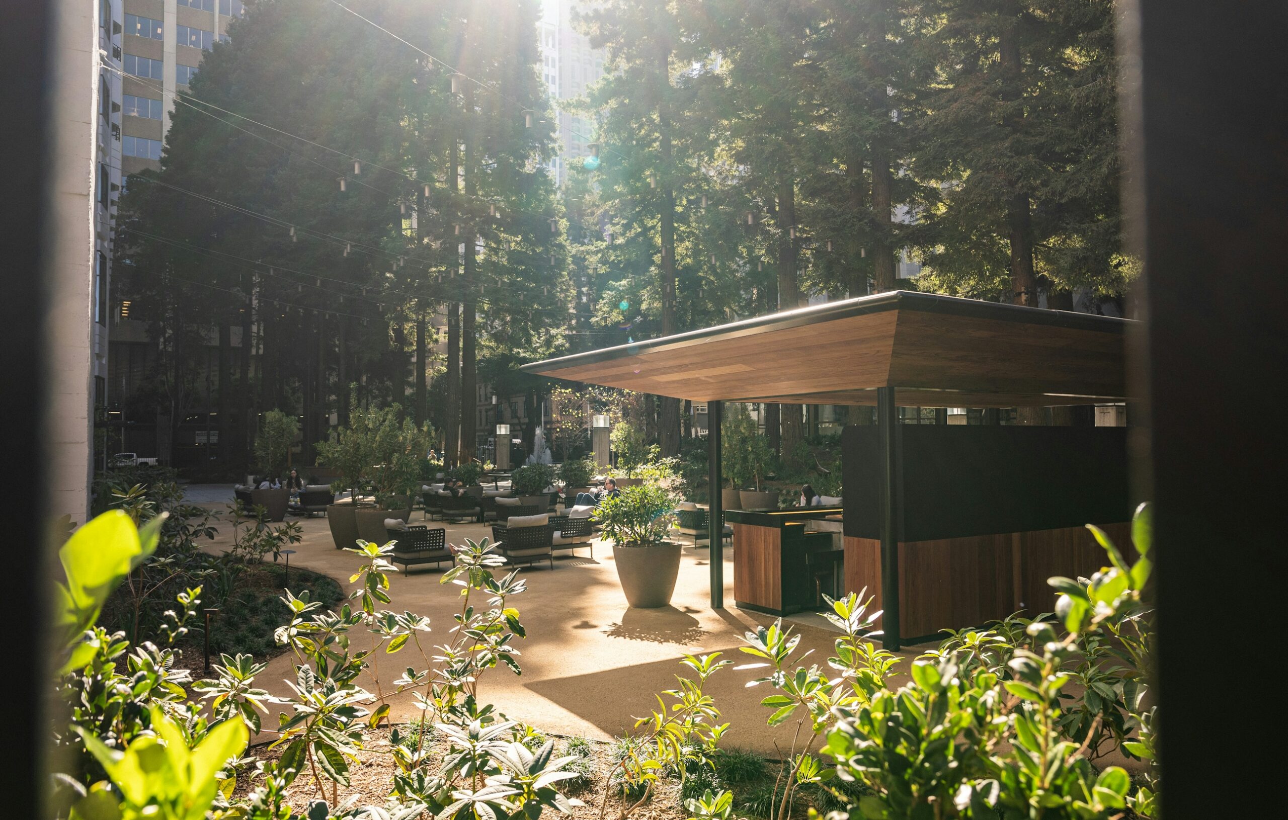 Redwood Park kiosk with sunshine