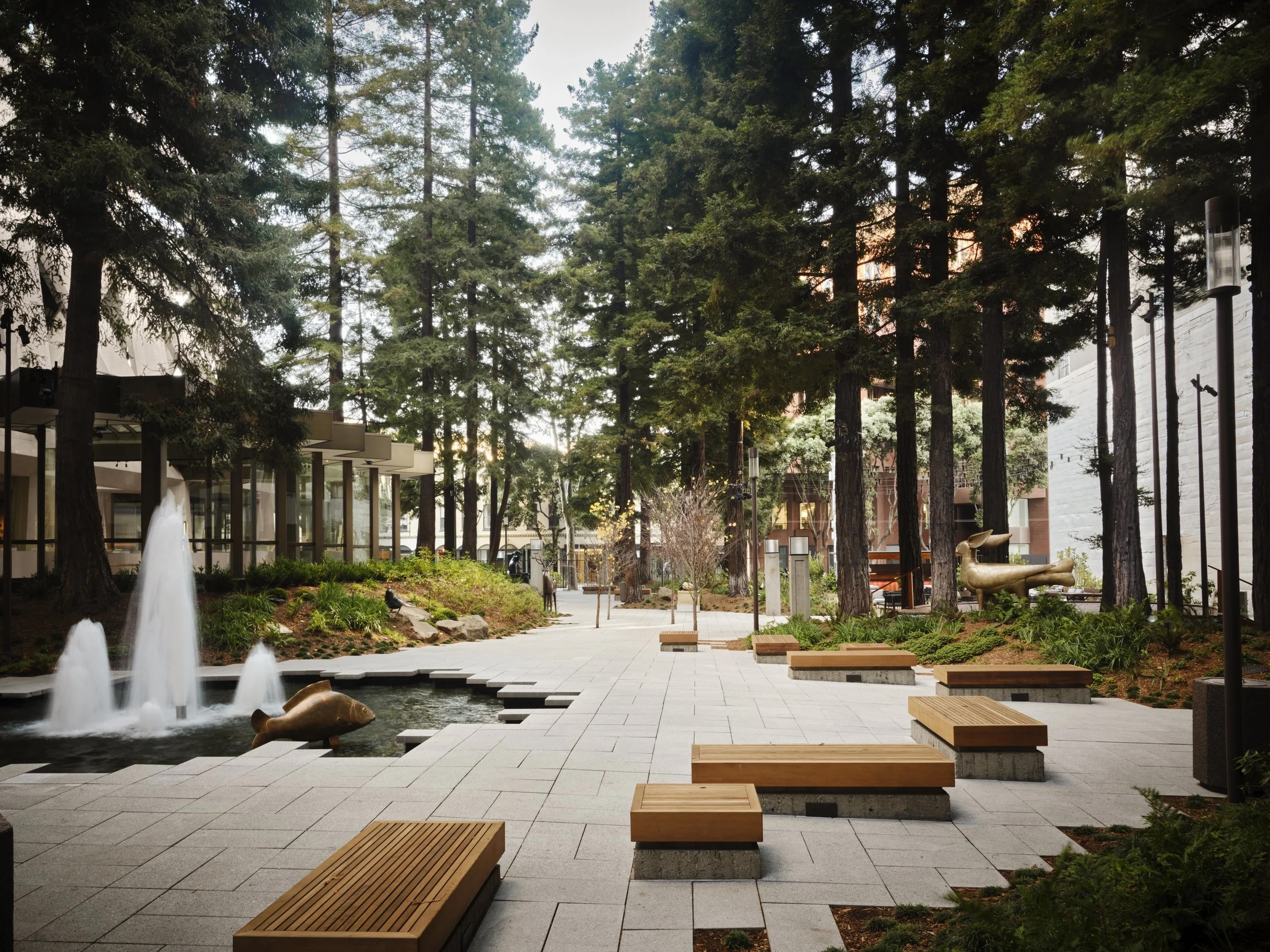 Redwood Park walkway with benches